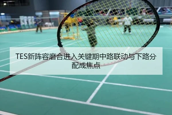 TES新阵容磨合进入关键期中路联动与下路分配成焦点