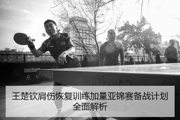 王楚钦肩伤恢复训练加量亚锦赛备战计划全面解析