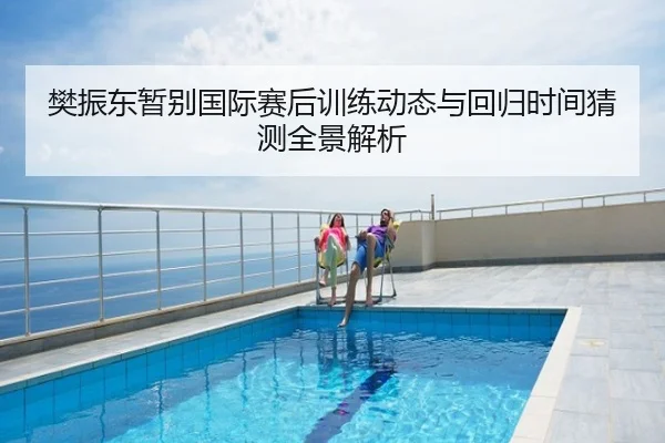 樊振东暂别国际赛后训练动态与回归时间猜测全景解析